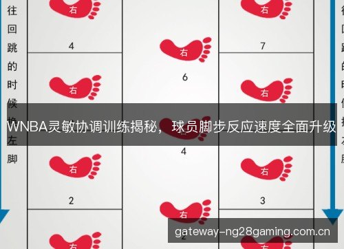 WNBA灵敏协调训练揭秘，球员脚步反应速度全面升级